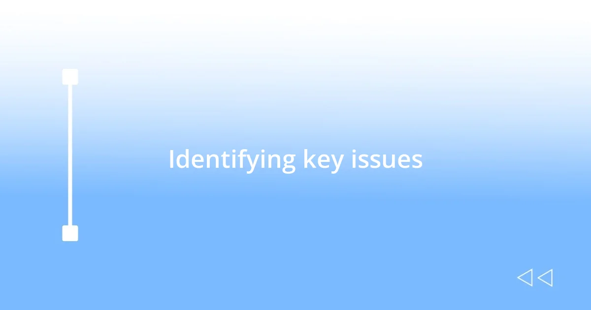 Identifying key issues